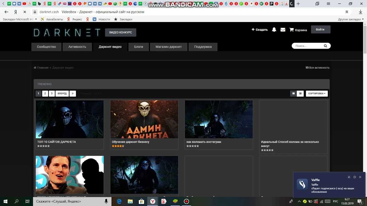 Deep web и нетсталкинг