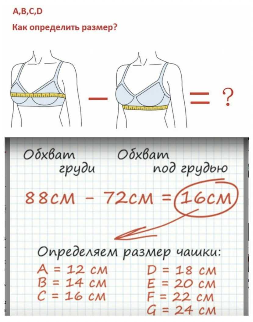 Как определить размер бюстгальтера в зависимости от его разновидности