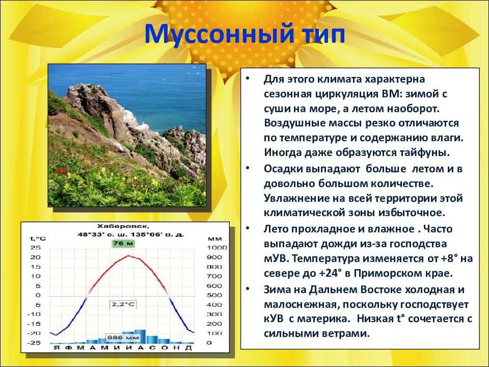 Основные отличия зимней резины от летней и всесезонной