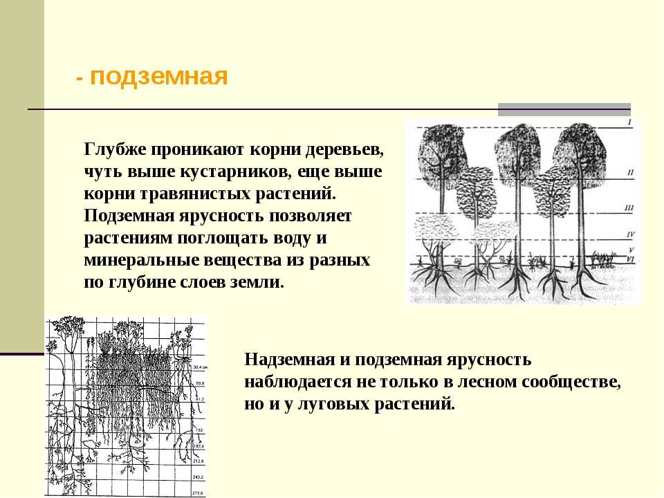 Типы сооружений в архитектуре