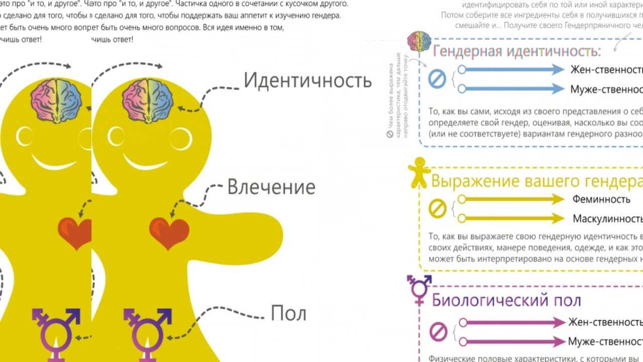 Femboy — что значит на сленге? перевод femboy? значение и смысл…