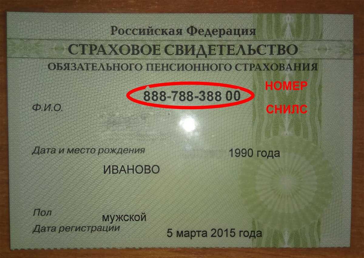 Как получить снилс гражданину казахстана: подробный гайд