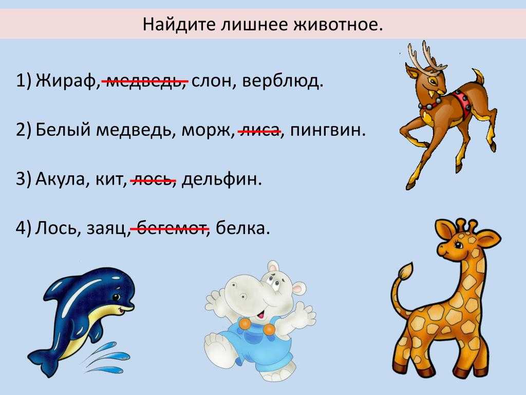 Составьте четыре предложения о животных из сказок. Найди лишнее животные. Найди лишнее животное Жираф. Верблюд задания для детей. Медведь и слон.