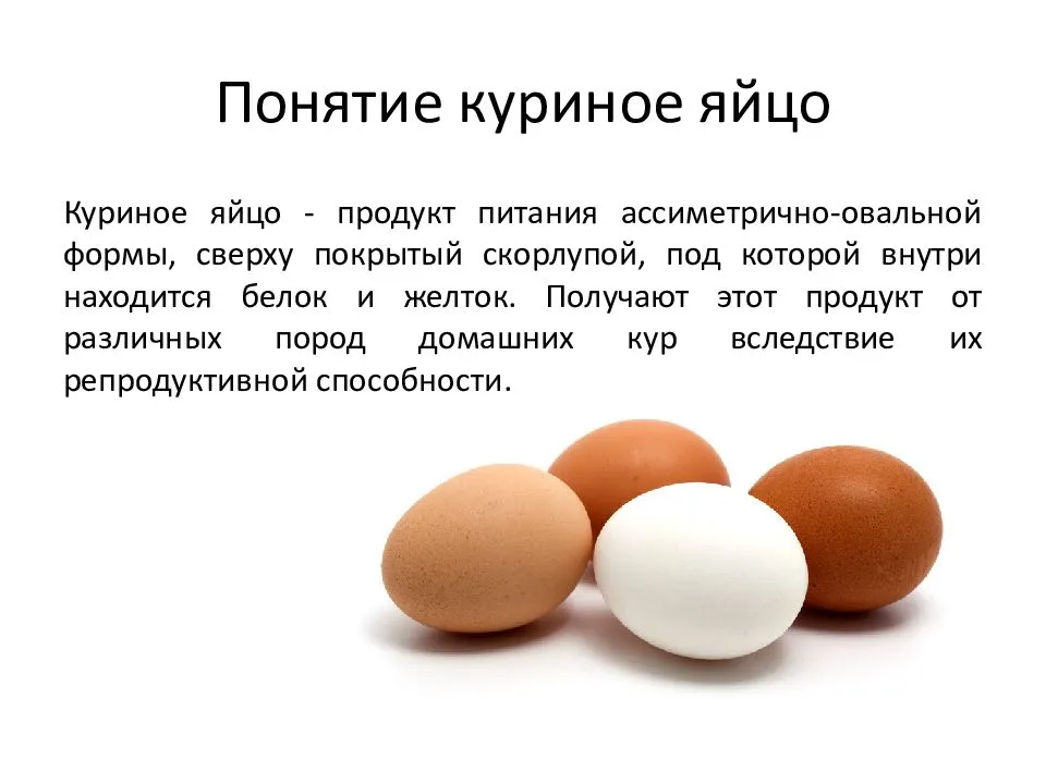 Башкирская птицефабрика оао — авдон — телефоны, адрес, отзывы