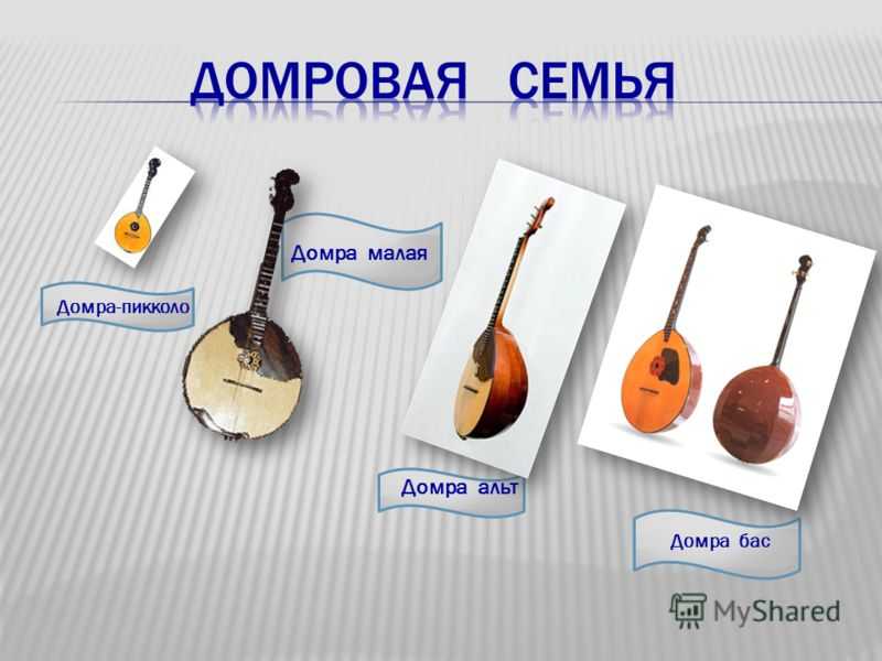 Домра и домбра: в чем разница между этими народными музыкальными инструментами?