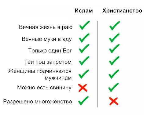 Разница между мусульманином и исламом | сравните разницу между похожими терминами - жизнь - 2023
