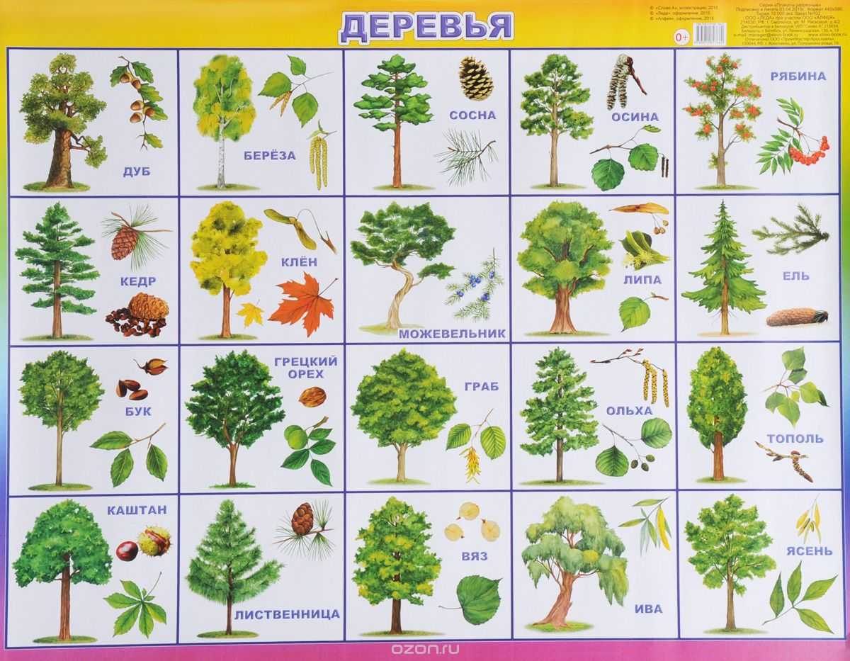 Выбираем земельный участок. формы, рельеф, расположение, размеры и геометрия