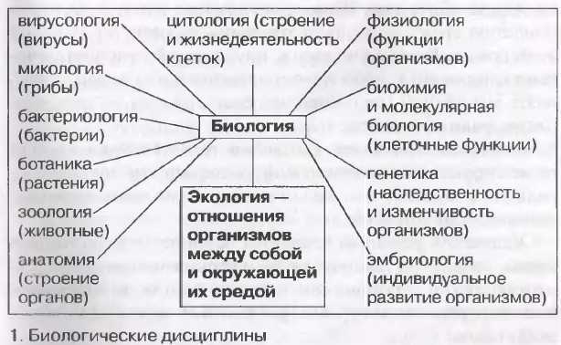Все биологические науки для егэ по биологии