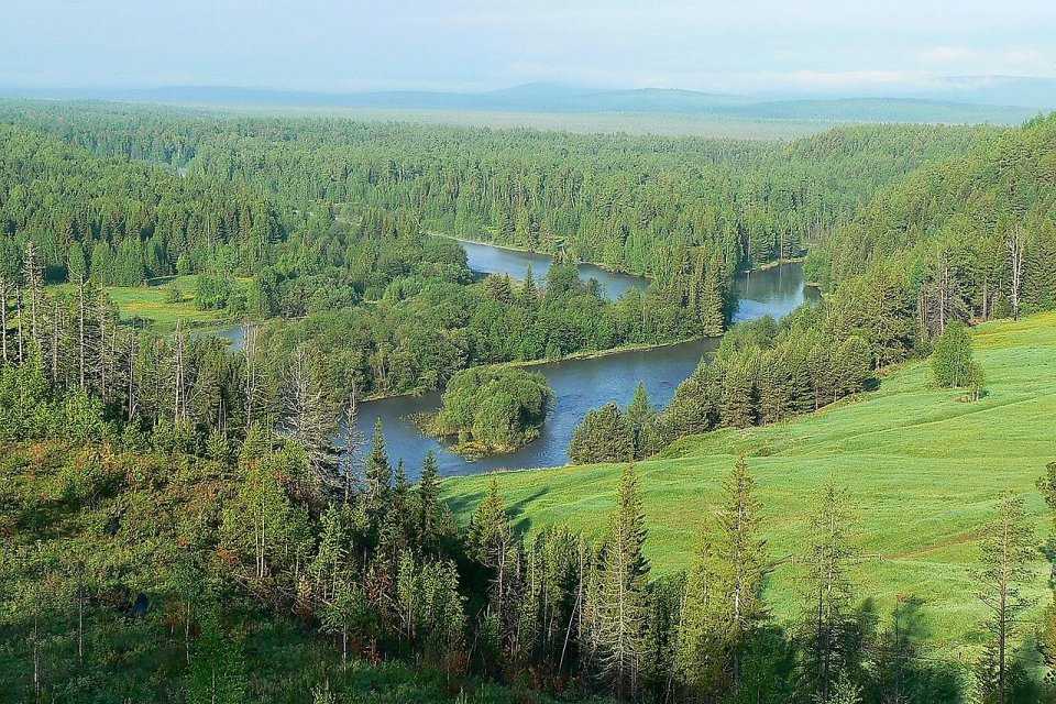 Какая природная зона самая большая?