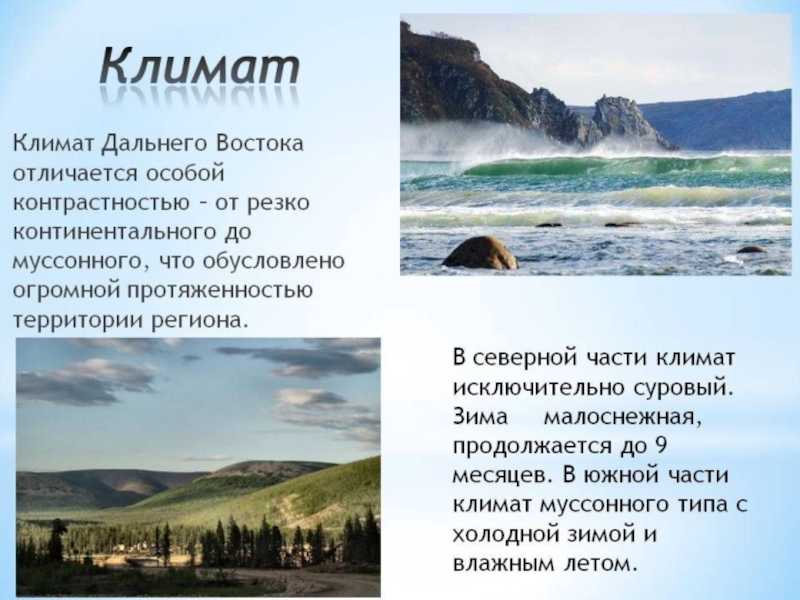 Vdvanr.ru