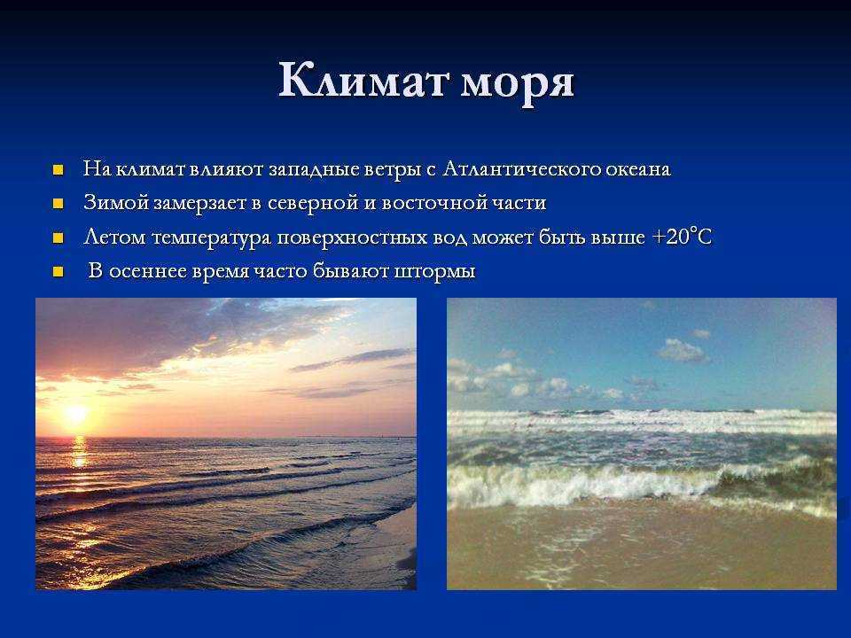 Чукотское море на карте, характеристики, особенности, флора и фауна кратко