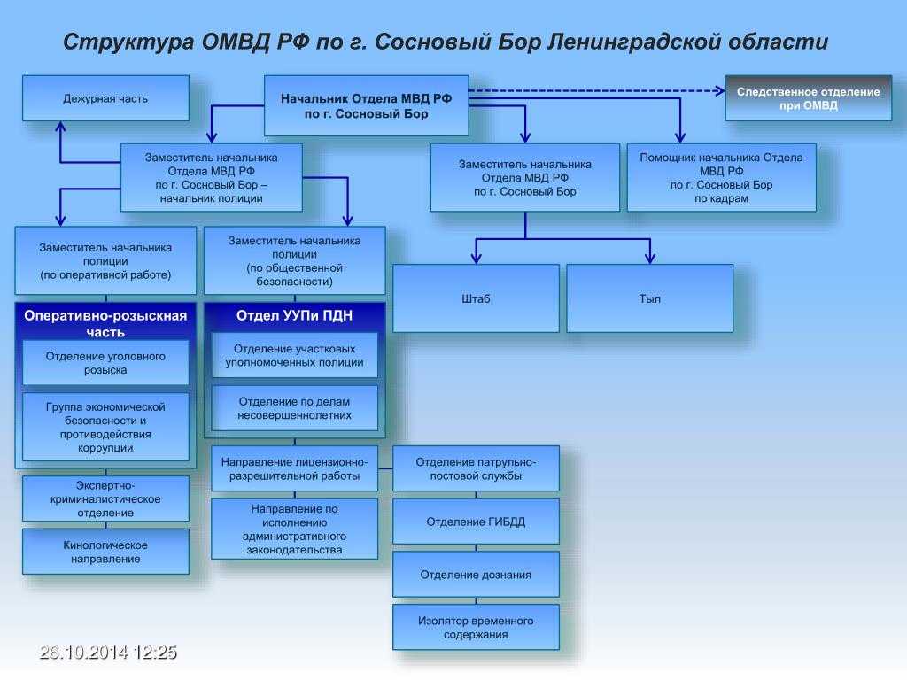 Организация деятельности мвд россии: структура, направления, общие положения