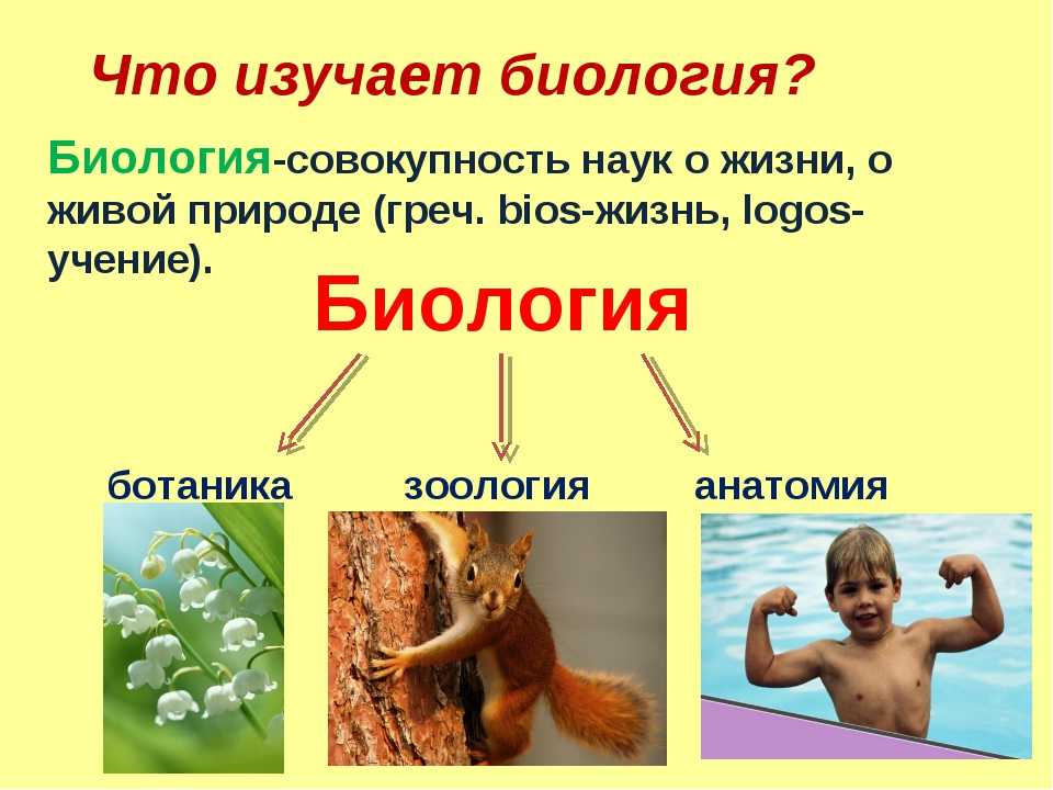 Естествознание, или науки о живой и неживой природе