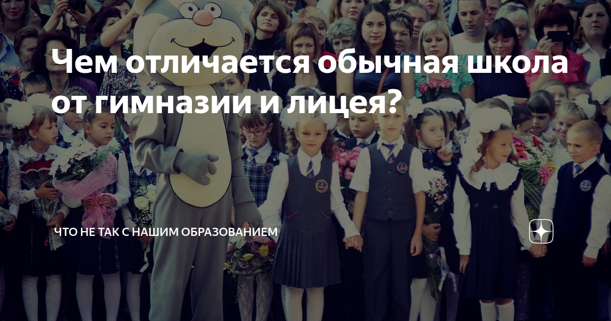 Чем различаются школа, лицей и гимназия и что лучше выбрать