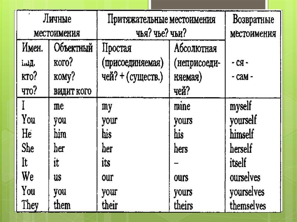 Притяжательные местоимения: формы и особенности