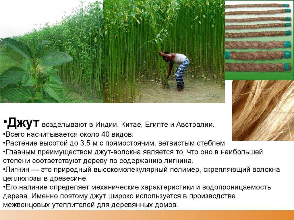 В чем отличие джутовой веревки от льняной и манильской веревки?