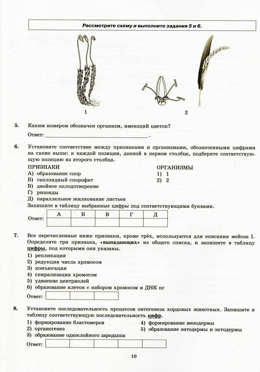 Подготовка к огэ по биологии 2023, как проводят экзамен по биологии, что нужно знать для сдачи огэ по биологии — баллы, критерии оценивания и время на огэ по биологии