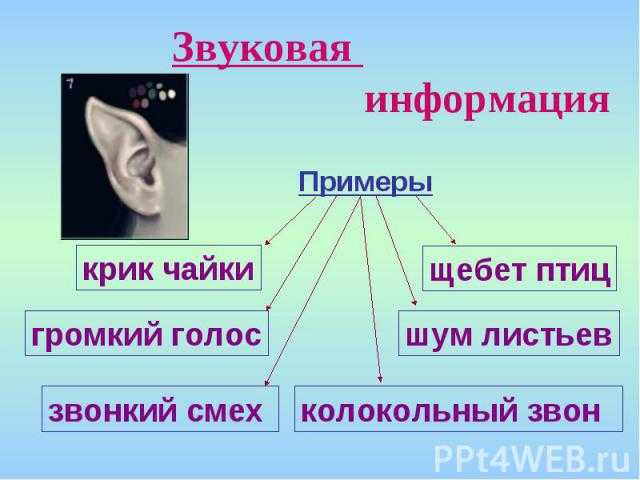 Акустическая система - что это такое, для чего нужна, какие бывают виды