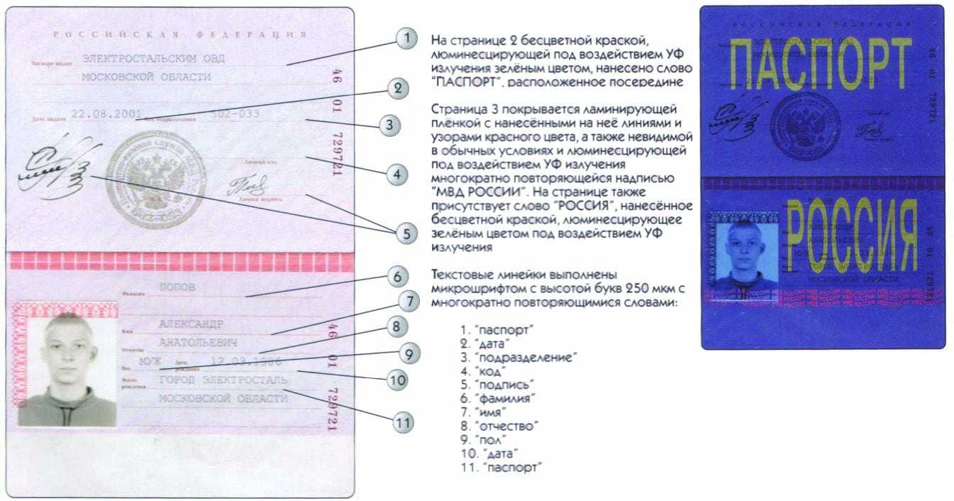 Где найти дату выдачи паспорта?