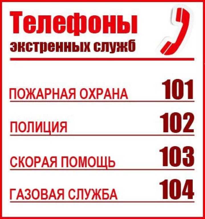 Что делать, если случайно сделали экстренный вызов: советы и рекомендации