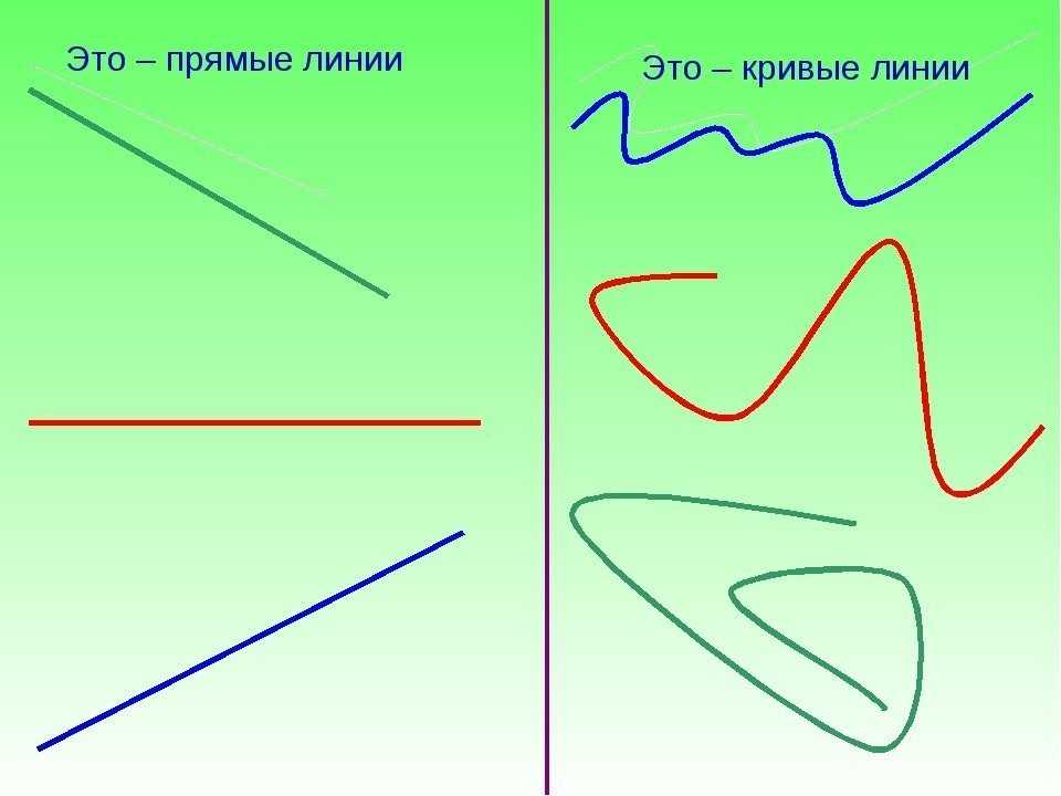 Разница между ломаной и кривой линией: в чем отличия?