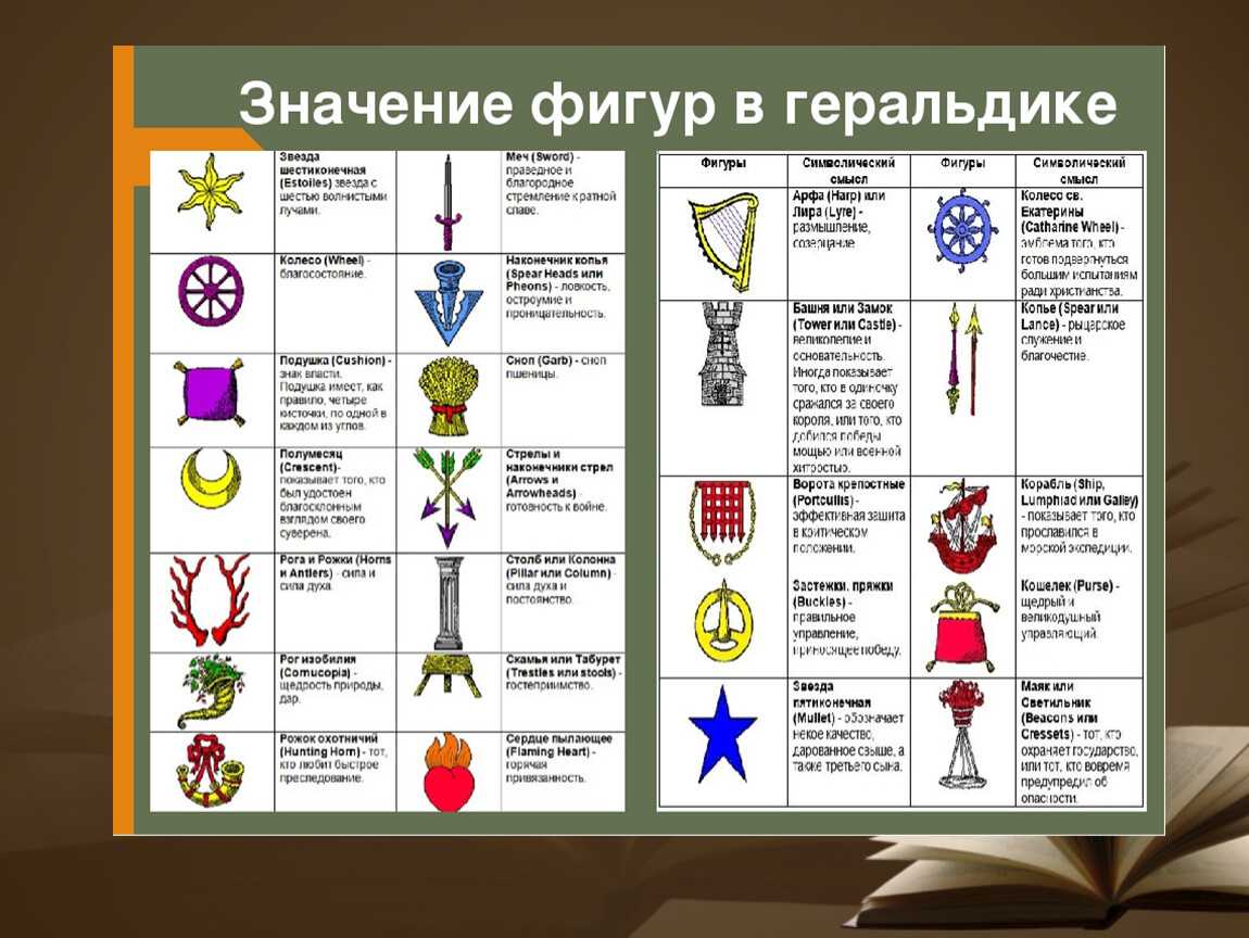 Язык цветов розы: что означают коралловые, красные и белые, 5, 11, 13, 15