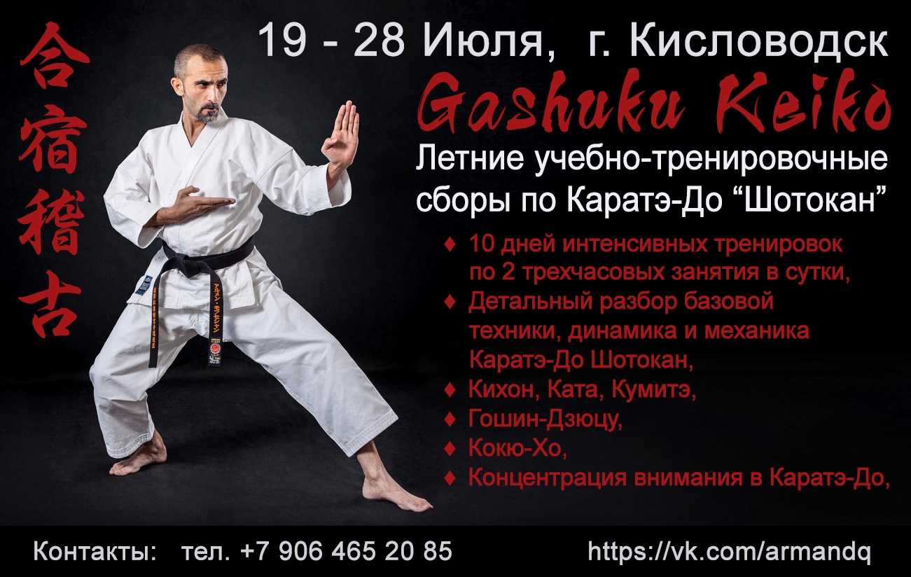 Ката каратэ шотокан . теория карате и традиции.