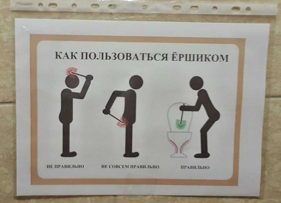 Как пишется «несмотря на» или «не смотря на»?