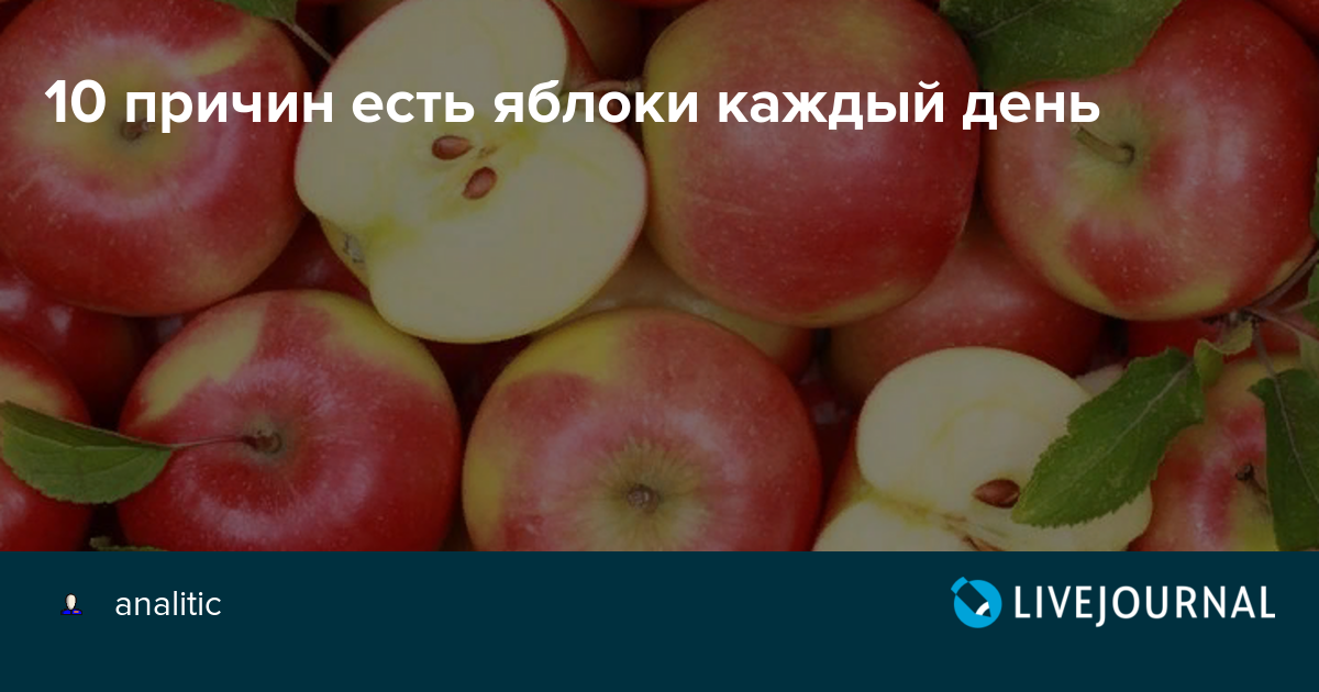 Как понять, что пора собирать урожай яблок? степень зрелости плодов. фото — ботаничка