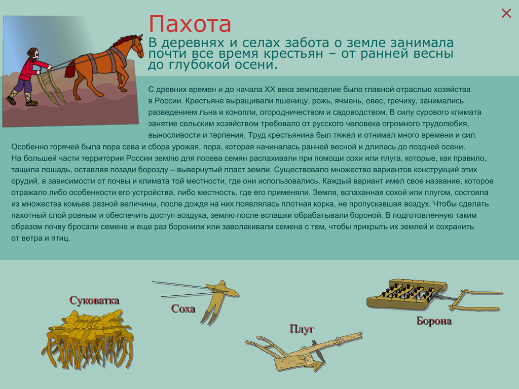 Сельское хозяйство в мировой экономике - личный финансовый университет