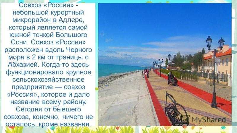 Доклад на тему город сочи сообщение (описание для детей)