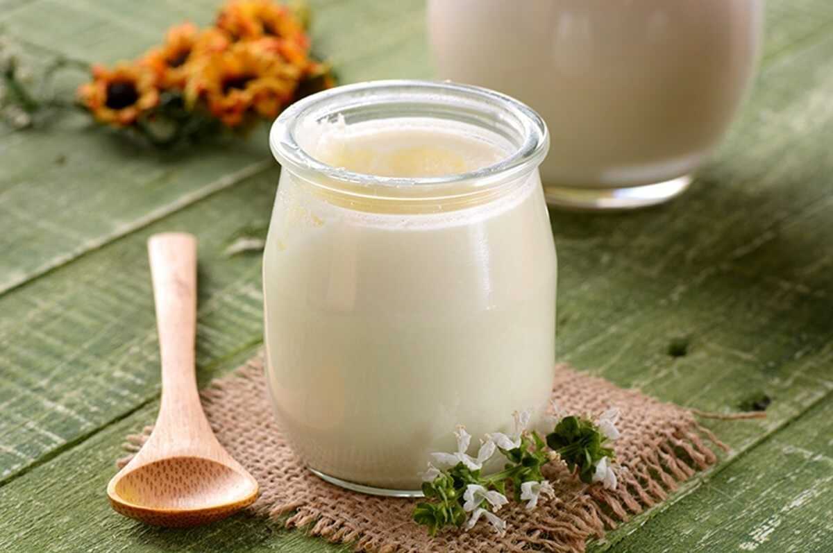 Что полезнее – ряженка или кефир, чем отличаются продукты