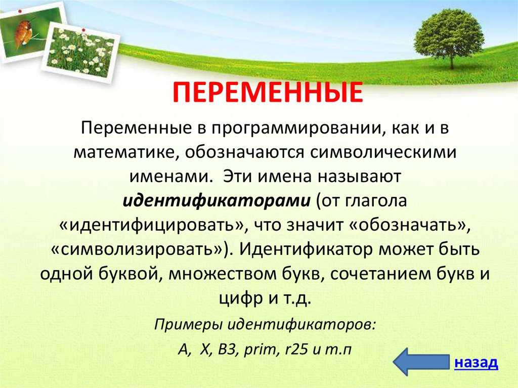 Урок 7: функции и графики - 100urokov.ru