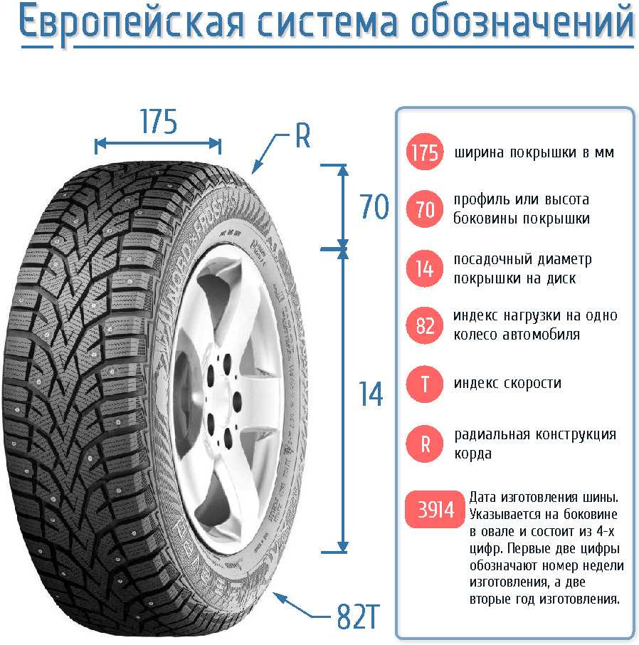 Различия между шиной и покрышкой: что нужно знать