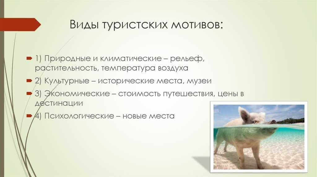 Объекты, которые привлекают туристов