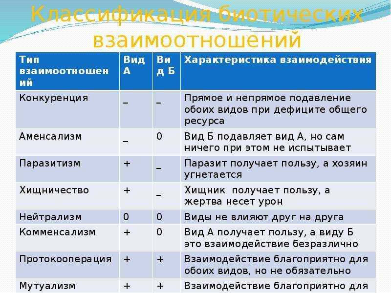Лань животное. образ жизни и среда обитания лани | животный мир