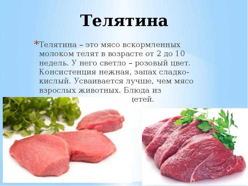 Где находится голень у человека