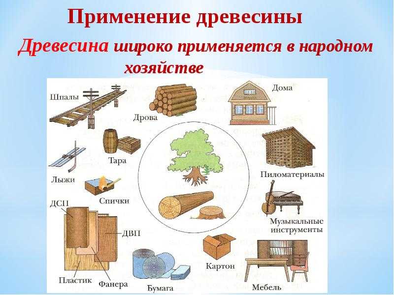 Как выбрать древесину для строительства дома: какие породы лучше выбрать. | заметки строителя