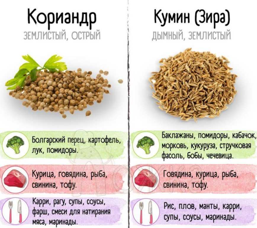 Зира: что это за приправа, чем полезна, куда ее добавляют