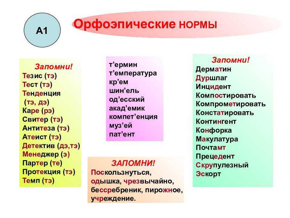 Орфоэпические нормы. Орфоэпия слова с ударением.