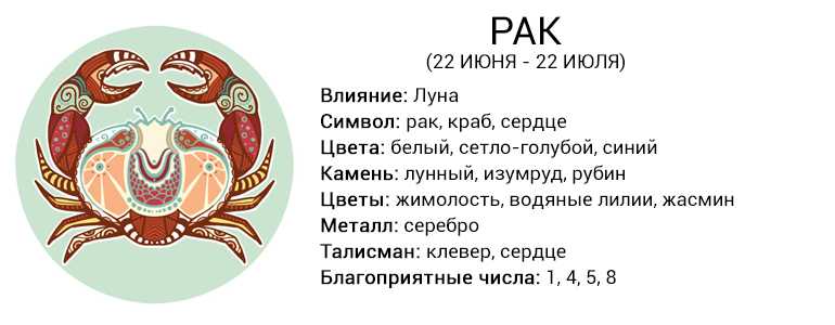 Скутигеры — не противные многоножки, а санитары дома. описание, образ жизни. фото — ботаничка