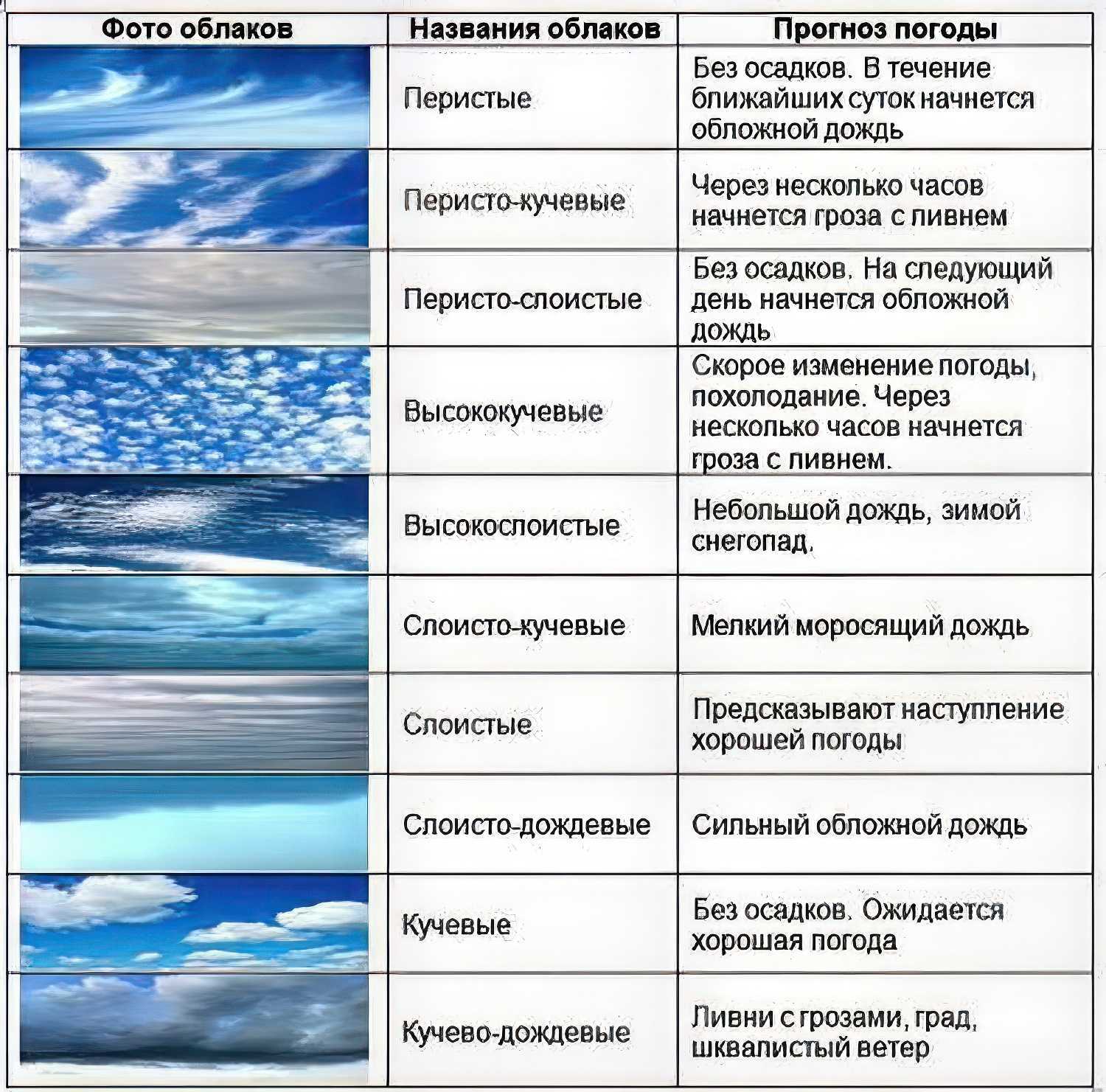 Когда вы смотрите на небо, вы можете увидеть такие объекты, как туман и облака. Оба они являются природными феноменами, но имеют свои уникальные
