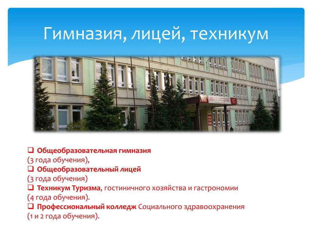Высокий рейтинг или «главное, чтобы рядом»? как родители выбирают школу для своих детей в 2022 году