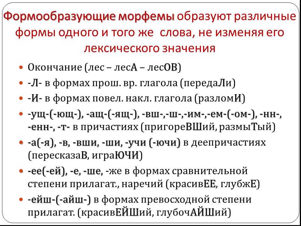 Что такое морфема в русском языке?