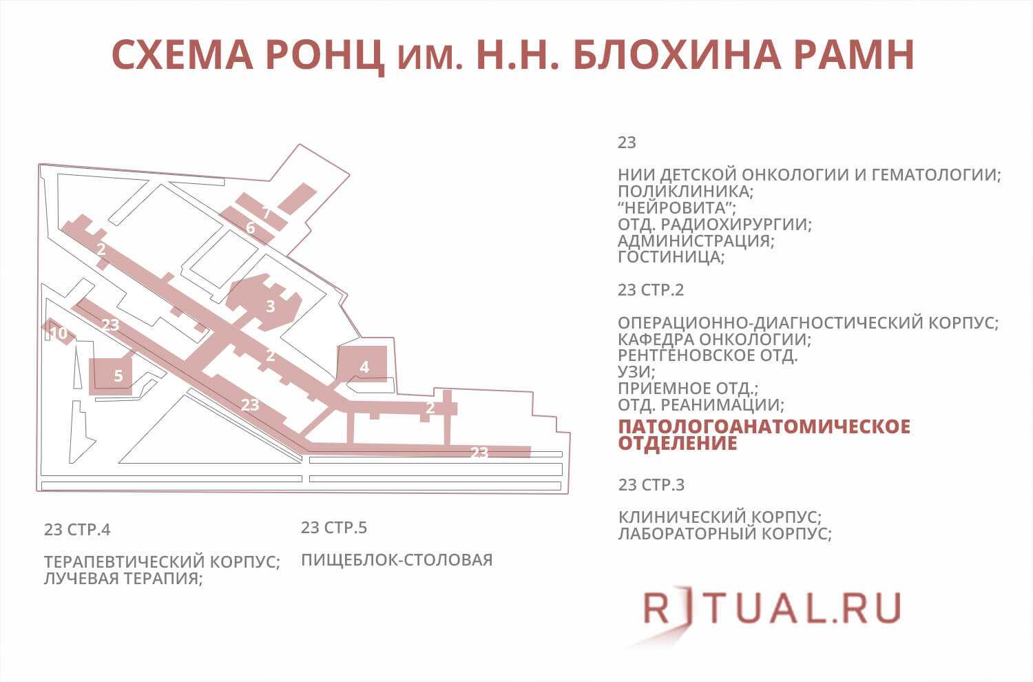 Агрессивное поведение больных онкологией