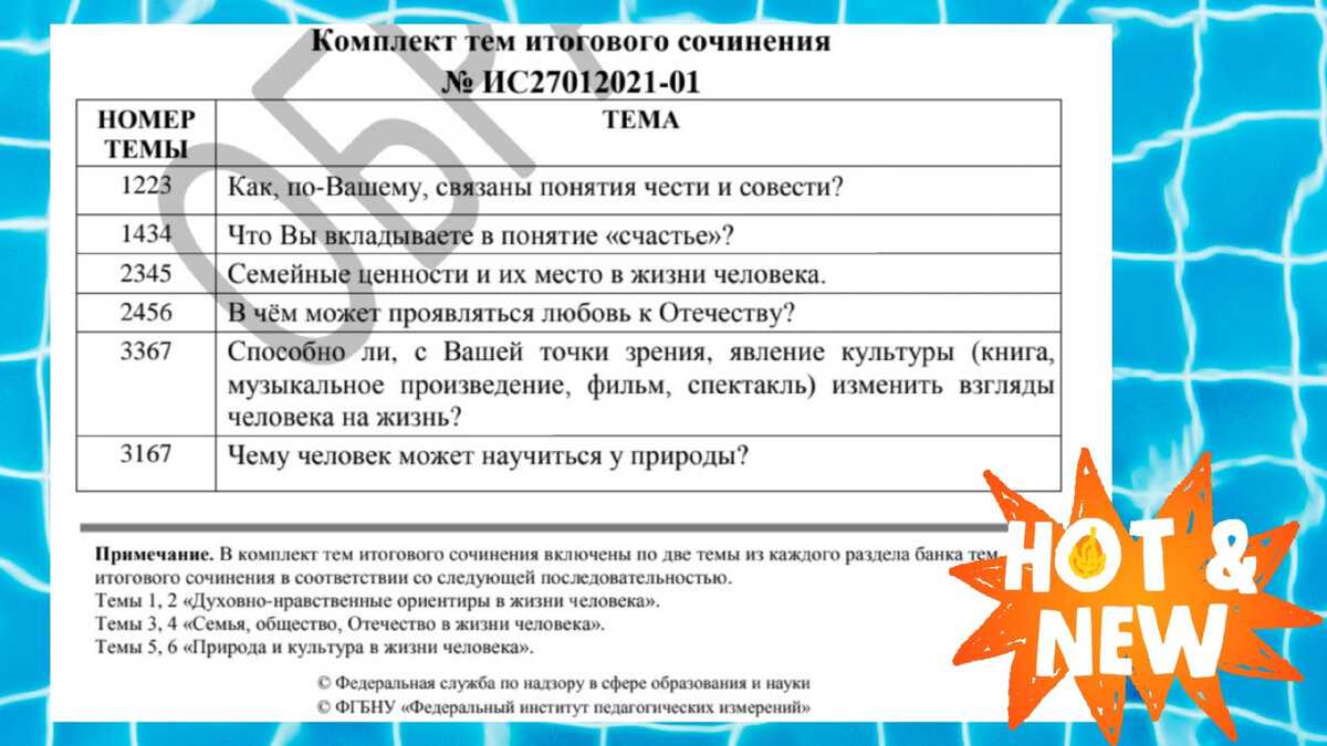 Итоговое сочинение по литературе 2024: темы, направления фипи