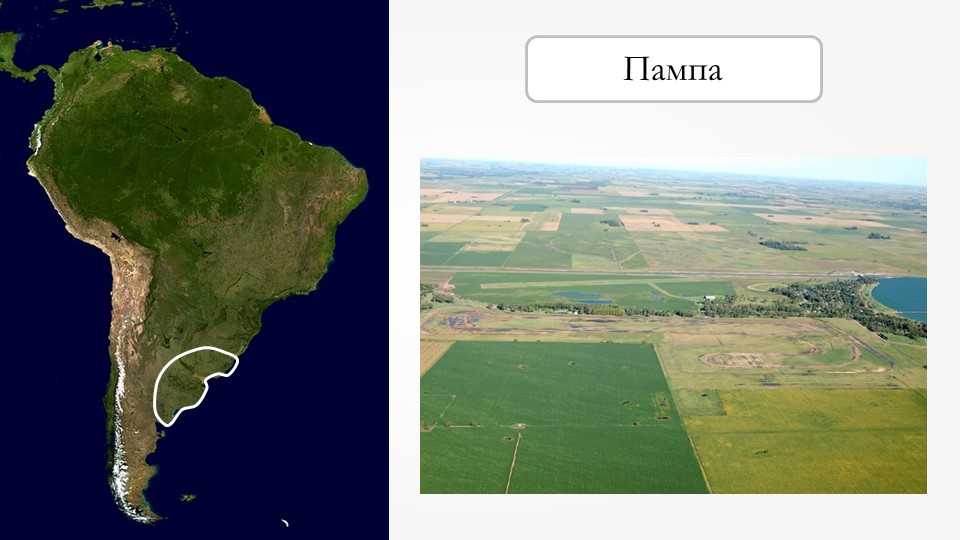 Пампа (аргентина)