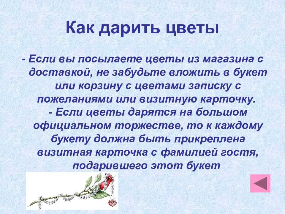 Суеверия о подаренных цветах в горшке