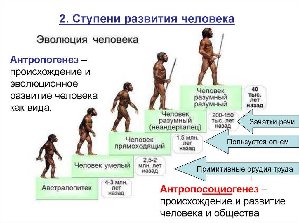 Самая мирная страна в мире за всю историю: факты и анализ