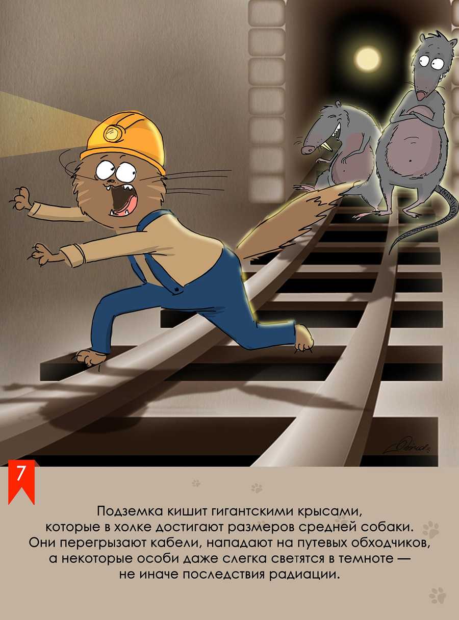 Время открытия станции метро каширская